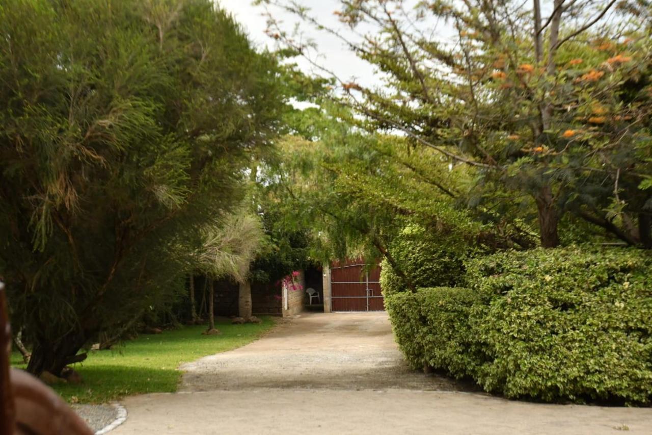 Merinja Guest House 나이바샤 외부 사진